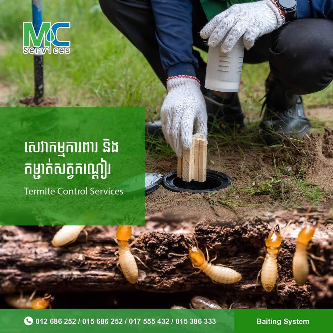 Termite Control
